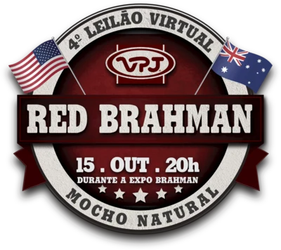 4º Leilão Virtual VPJ Red Brahman — mocho natural